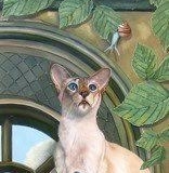 Cat with horn